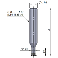 ZH8.1005.10.A.ST opname voor Minimill inserts