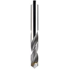 Ø10,20 mm L56/100 boor 71020 met HM punt