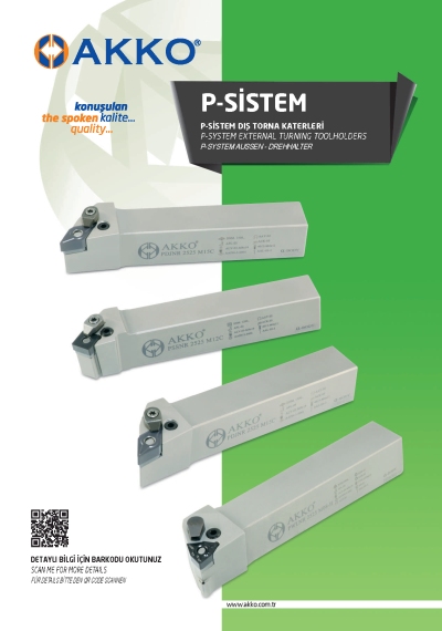 P-systeem