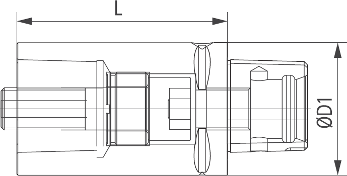 C40H40C40 diagram