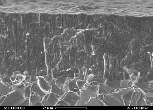 Polaris coating (LC620TM) onder een microscoop LC620TM