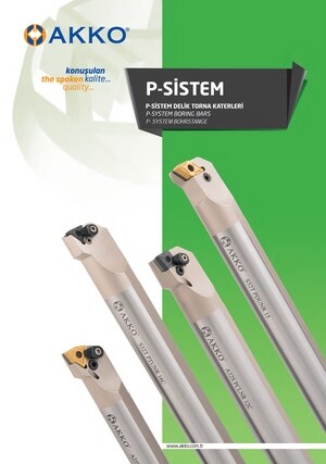 P-systeem