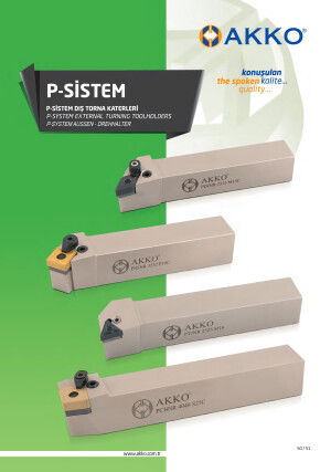 P-systeem